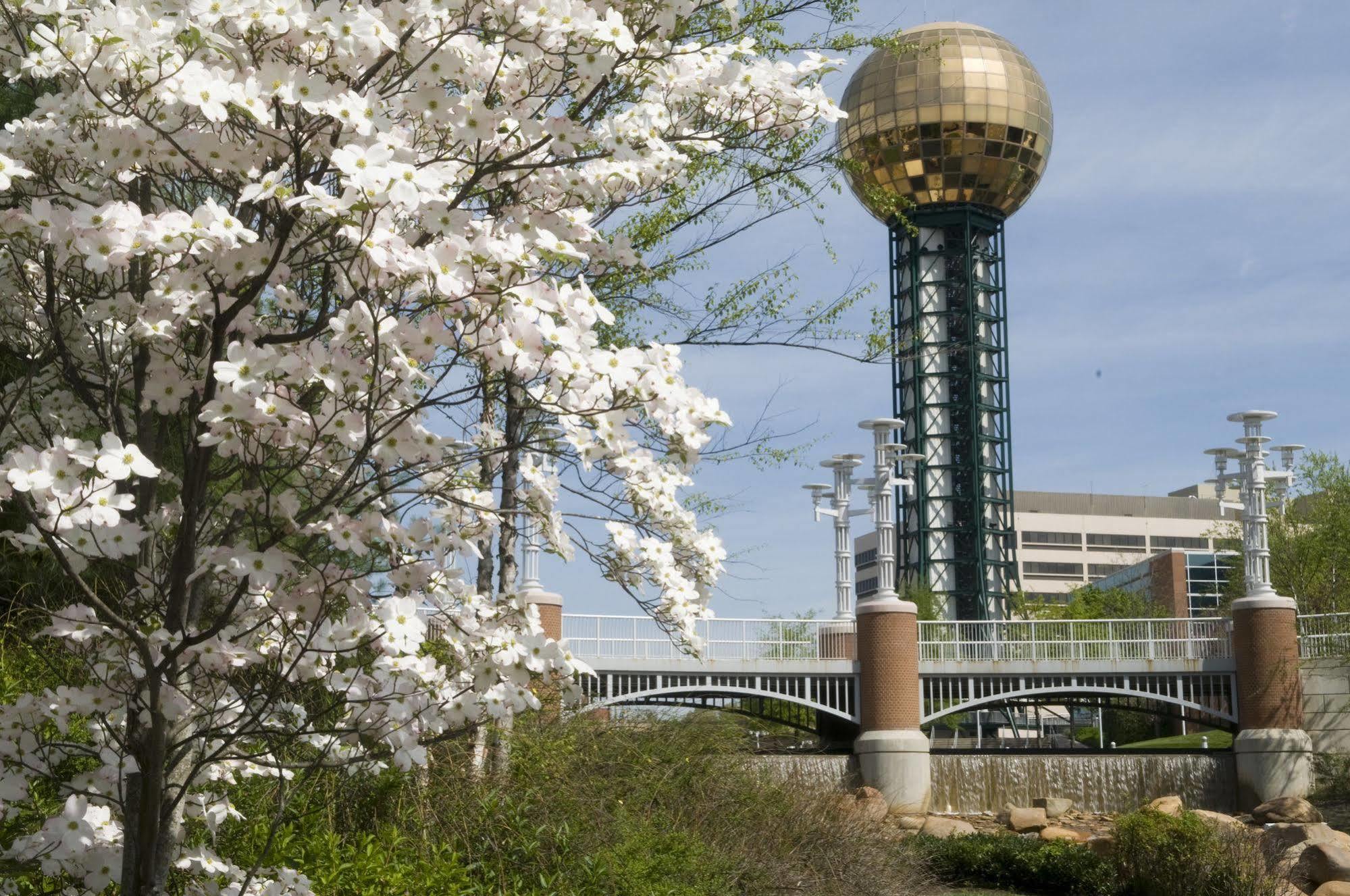 The Tennessean Personal Luxury Hotel Knoxville Exterior foto